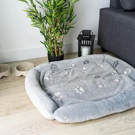 Vakantiehuis Casa Do Sol *