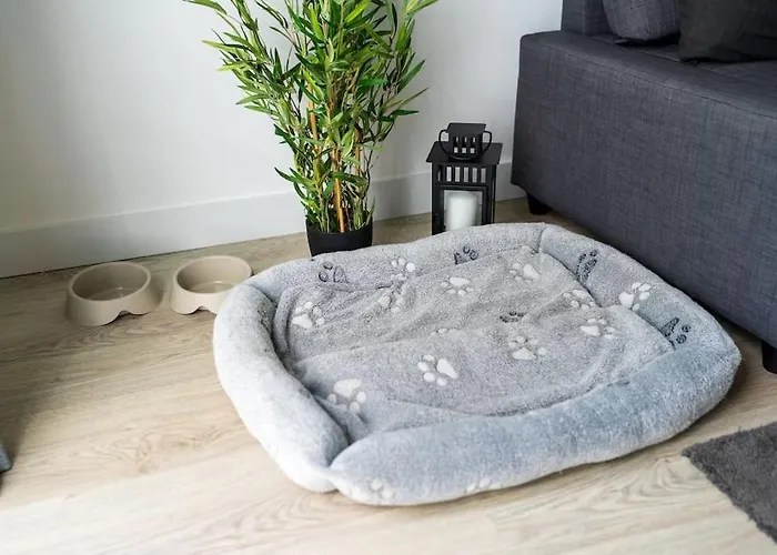 別荘 Casa Do Sol *